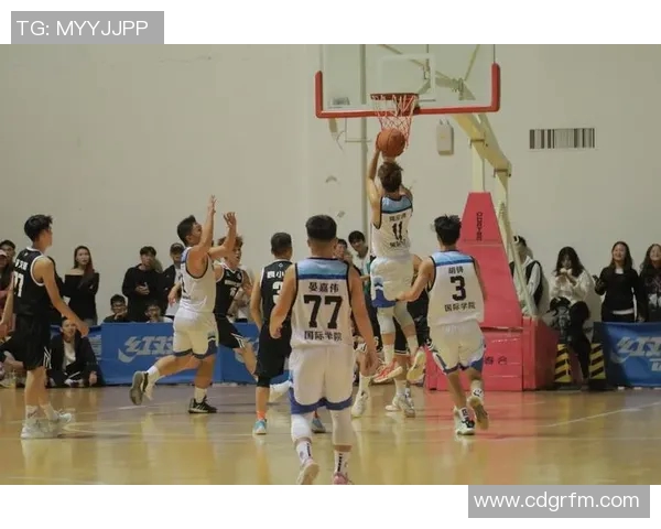 篮球灵活性排行榜揭晓上海篮球队荣登第六位展现出色竞技状态